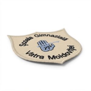 Scoala Gimnaziala Vatra Moldovitei Sigla Brodata